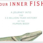YOUR INNER FISH by Neil Shubin